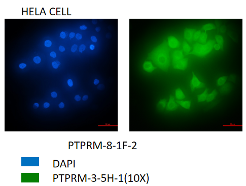 fa6bd08ade7ad01d2feaf3d4ebcecabb.png fa6bd08ade7ad01d2feaf3d4ebcecabb.png