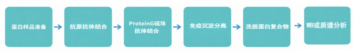 共沉淀流程图222.png