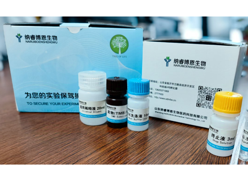 NT-3定量免疫PCR检测试剂盒